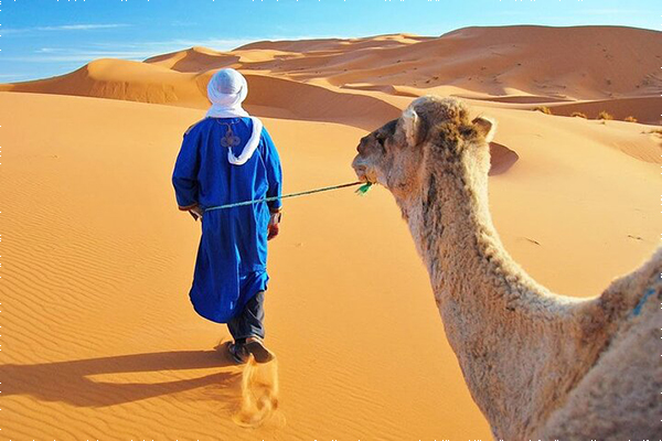 Morocco Trip