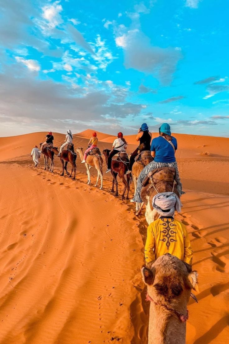 Morocco Trip 2560945b03f20b77369cc28d54ce8f86