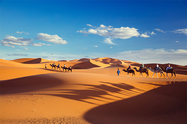 Morocco Trip