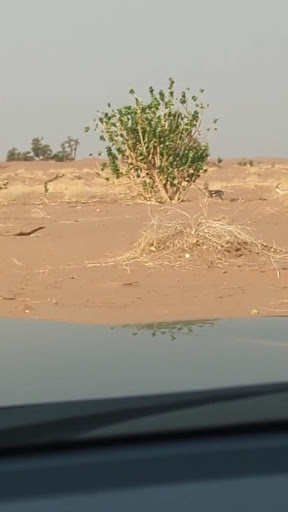 Morocco Trip Photo from customer review