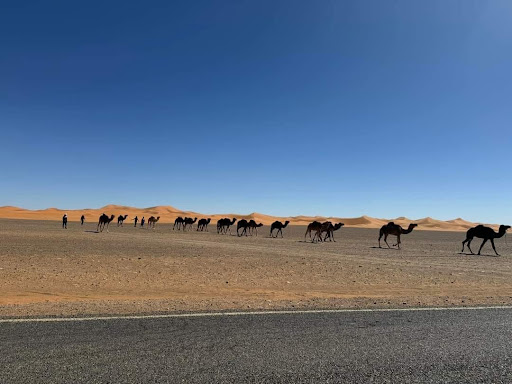 Morocco Trip Photo from customer review